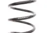 Пружина (задня) Smart Fortwo/City-Coupe/Cabrio 98-07 M160/OM660 (B3) BILSTEIN 36-235223 (фото 2)