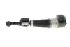 Пневмоамортизатор Bilstein MB S-Class W221 4-Matic "FR "05-13 "(Air) BILSTEIN 44110475 (фото 1)