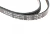 Ремень BLUE PRINT AD04R1538 (фото 4)
