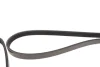 Ремінь генератора Toyota Land Cruiser 100 4.2 TD 98-07 (6PK1 719) BLUE PRINT AD04R1719 (фото 3)