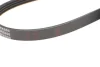 Ремінь генератора поліклиновий BLUE PRINT AD04R800 (фото 3)