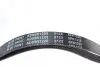 Ремінь генератора поліклиновий BLUE PRINT AD05R1220 (фото 2)