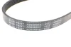 Ремінь генератора поліклиновий BLUE PRINT AD05R915 (фото 4)