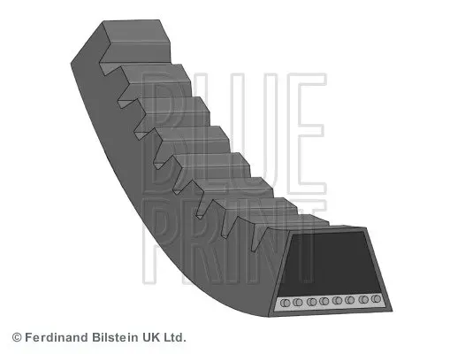 Ремень BLUE PRINT AD10V770 (фото 1)