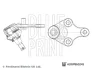 Blue Print Нижній/верхній кульовий шарнір BLUE PRINT ADBP860245 (фото 1)