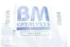 Сажевый / частичный фильтр, система выхлопа ОГ BM CATALYSTS BM11175 (фото 2)