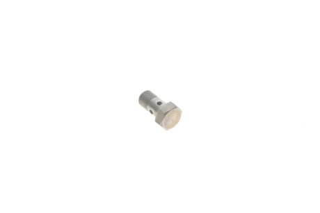 Болт турбіни (M10x1х19mm) 5 (F10/F18)/X5 (F15/F85) 10- N47/B37/M51/M57 BMW 07119907291