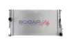 Радіатор BOGAP B4210214 (фото 1)