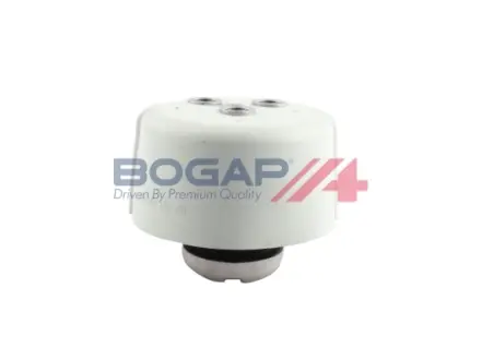 Кріплення двигуна BOGAP C1911109
