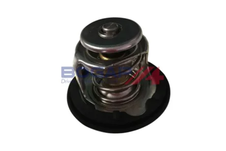 Термостат BOGAP H4245105