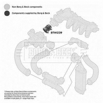 Патрубок BORG & BECK BTH1239