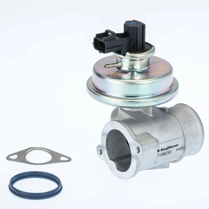 Клапан системи рециркуляції ВГ BorgWarner 710923D (фото 1)