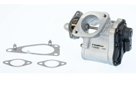 Клапан системи рециркуляції ВГ BorgWarner 710938D