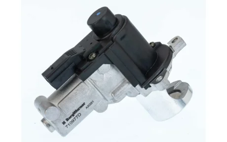 Клапан системи рециркуляції ВГ BorgWarner 710977D