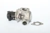Клапан системи рециркуляції ВГ BorgWarner 711021D (фото 1)