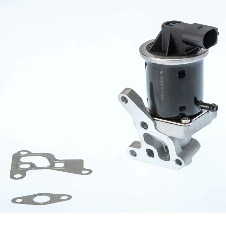 Клапан системи рециркуляції ВГ BorgWarner 711028D (фото 1)