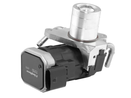 Клапан системи рециркуляції ВГ BorgWarner 7375D
