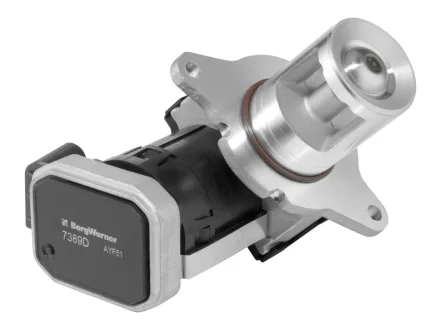 Клапан системи рециркуляції ВГ BorgWarner 7389D