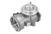Клапан системи рециркуляції ВГ BorgWarner 7451D (фото 1)