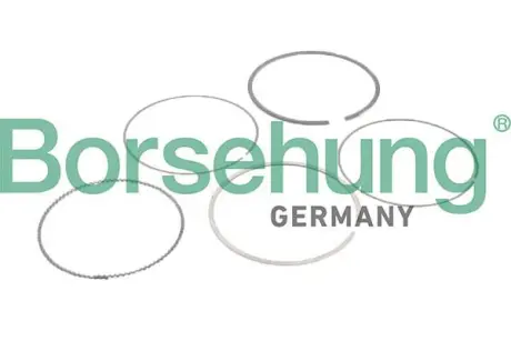 Комплект поршневих кілець Borsehung B10373