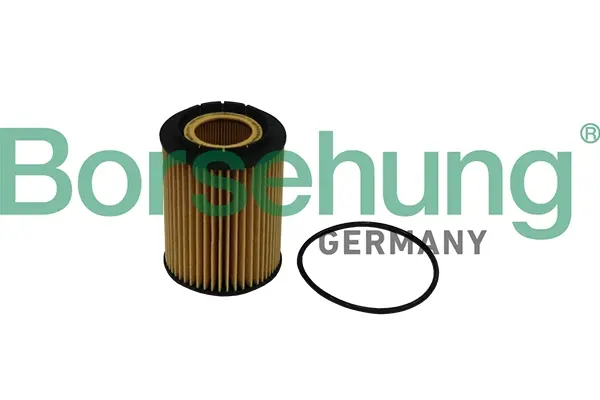 Фільтр масляний Audi A6/A8/VW Passat/T4/T5 2.8-4.2 VR6 Borsehung B10516 (фото 1)