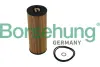 Фільтр оливний BORSEHUNG Borsehung B10544 (фото 1)