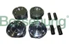Поршень двигуна; 4pcs Borsehung B11143 (фото 1)