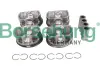 Поршень з поршневим кільцем; 4шт Borsehung B11145 (фото 1)