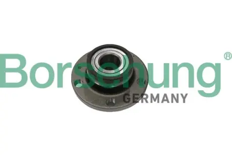 Підшипник маточини к-кт BORSEHUNG Borsehung B11289
