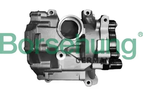 Насос оливи Borsehung B11903