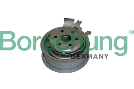 Натяжний ролик Borsehung B12231