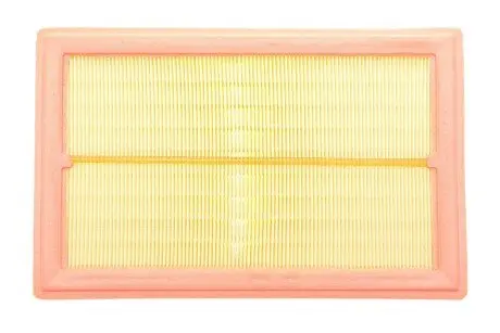 Повітряний фільтр Borsehung B12399