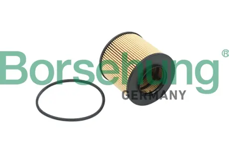 Фільтр масляний VW Golf/Polo/Passat 1.4FSI-1.6FSI 02-10 BORSEHUNG Borsehung B12821