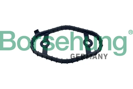 Ущільнення, кришка голівки циліндра Borsehung B12974