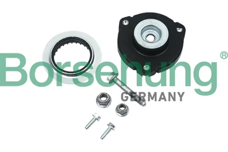 Ремкомплект Borsehung B14300