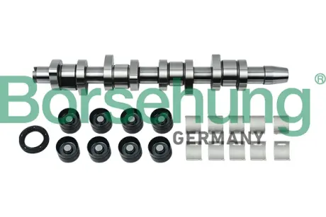 Розподільний вал VW 1.9TDI 03- (к-кт) (OE VAG) BORSEHUNG Borsehung B18664