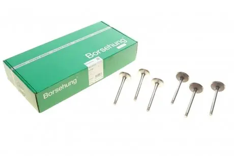 Впускний клапан BORSEHUNG Borsehung B18765