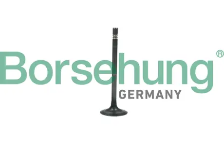 Клапан випускний BORSEHUNG Borsehung B19006
