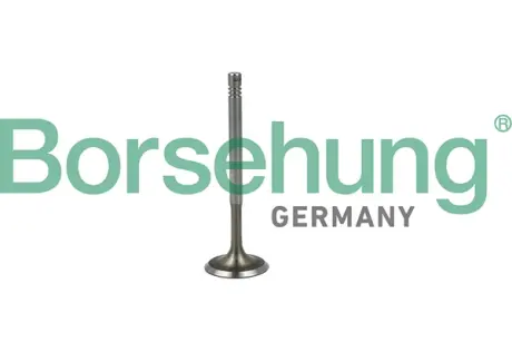 Клапан впускний BORSEHUNG Borsehung B19019