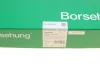 Натяжна планка ланцюга ГРМ BORSEHUNG Borsehung B1G041 (фото 5)