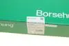 Натяжна планка ланцюга ГРМ BORSEHUNG Borsehung B1G054 (фото 5)