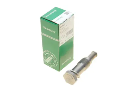 Натягувач ланцюгу (OE) Borsehung B1T022