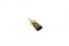 Датчик температури охолоджуючої рідини Citroen Jumper 2.8/3.0HDi/Opel Combo 1.4 02- (чорний) BOSCH 0 281 002 209 (фото 1)