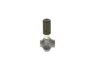 Елемент помпи високого тиску M 170-Serie; M 232-Serie; M 310-Serie BOSCH 0440011007 (фото 1)