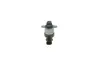 Елемент насосу Common Rail BOSCH 1462C00999 (фото 1)