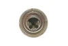Лампочка Pure Light галоген R2 (12 В, 45/40 Вт, тип гнізда: P45T) BOSCH 1 987 302 021 (фото 3)
