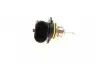 Лампа розжарювання HIR2 12V 55W PX22D (вир-во Bosch) BOSCH 1 987 302 026 (фото 3)