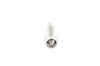Лампа C5W 12V Longlife Daytime - знято з вир-ва BOSCH 1 987 302 281 (фото 3)
