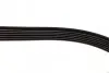 РЕМІНЬ П-КЛИНОВИЙ 6PK2155 BOSCH 1 987 946 041 (фото 4)