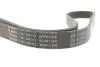Ремінь генератора Ford Focus II/C-Max/Volvo C30/S40 II/V50 1.8/2.0 04-12 (6PK1249) BOSCH 1987946173 (фото 4)